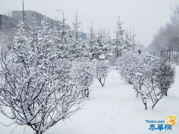 辽宁大雪