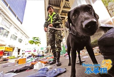 20多名红衫军领导人遭通缉 8人自首