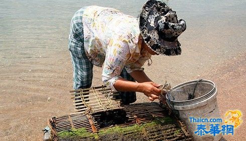 柬埔寨没有男人的女人岛