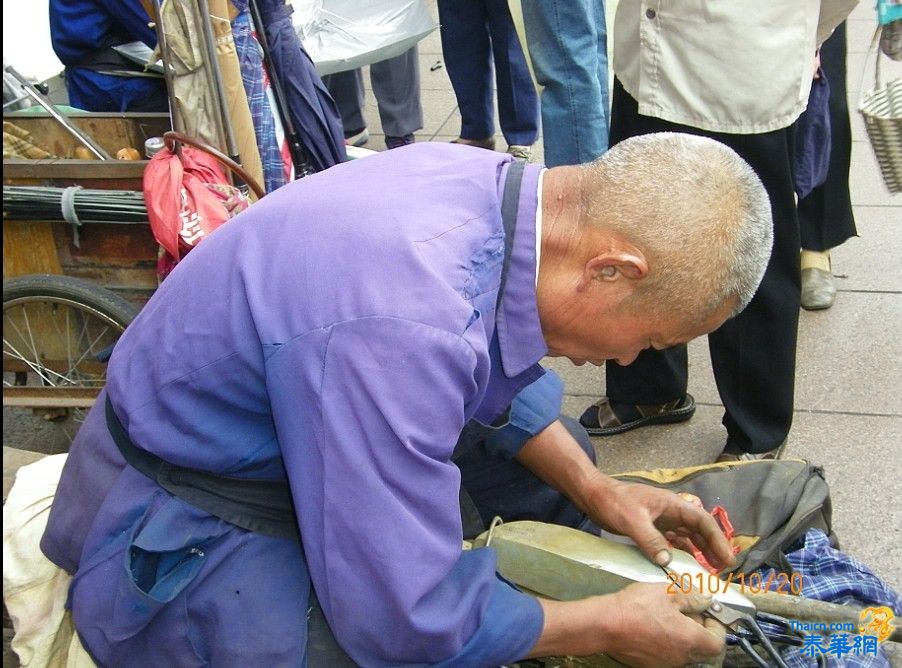 秋风上海虽有寒  春风又临南京路