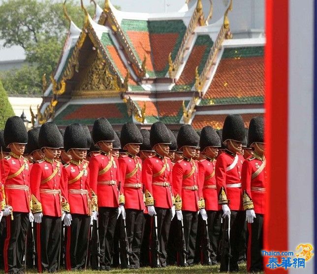 国王诞辰节上的皇家卫队