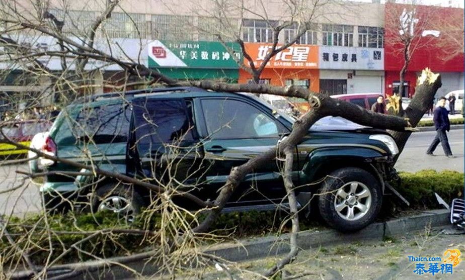 山东枪匪劫越野车撞飞警车 射杀警察后自杀