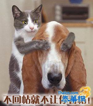 照片 120.jpg 照片 120.jpg