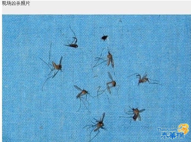 照片 999jpg-42.jpg 照片 999jpg-42.jpg