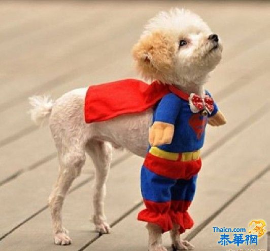 照片 120.jpg 照片 120.jpg