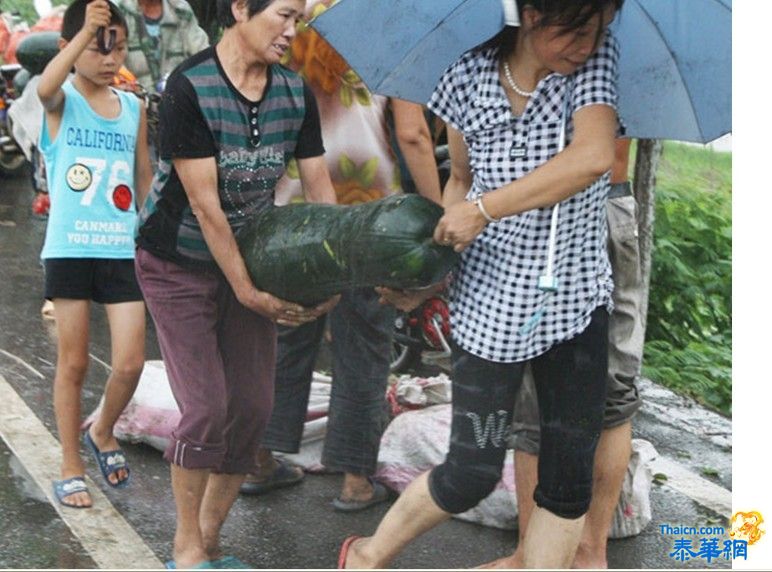 江西南昌一货车侧翻 冬瓜遭哄抢