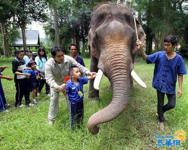 泰国大象治疗计划激发残疾儿童能力