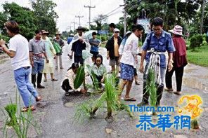 清莱道路多年失修民众抗议