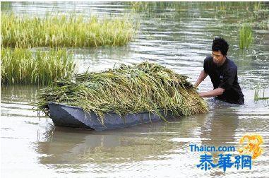 洪灾54人遇难