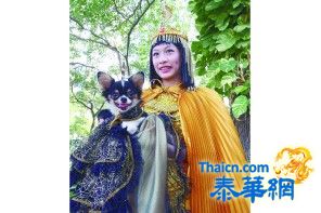 为安置流浪犬曼谷掀起募集活动