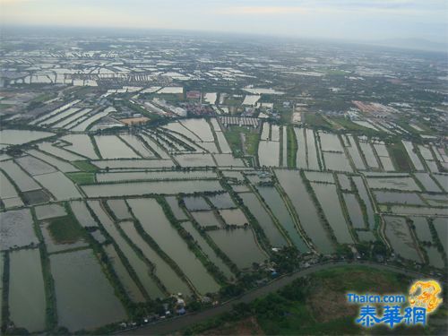 泰国遭遇50年不遇特大洪水，中国政府全力援助、泰国华侨华人齐心抗灾 中泰一家亲，患难见真情