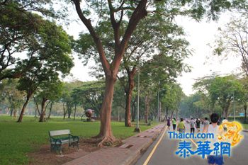 曼谷是乐公园 Lumpini Park