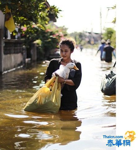 实拍泰国洪灾当地灾情 受灾人民水中作乐