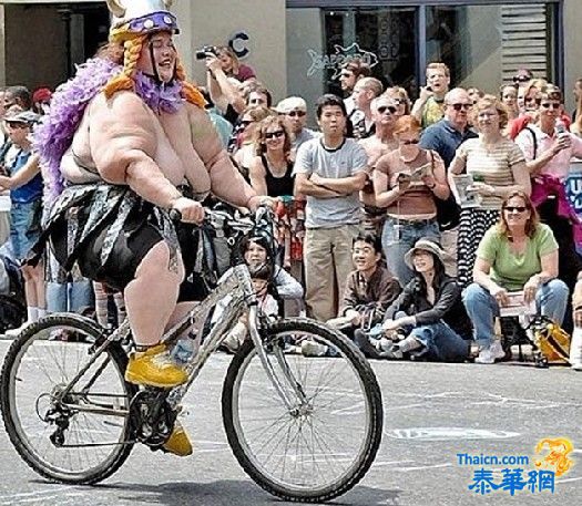 这些图太让人崩溃