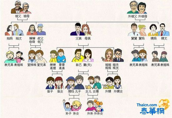 中国亲戚关系图走红 网友追捧