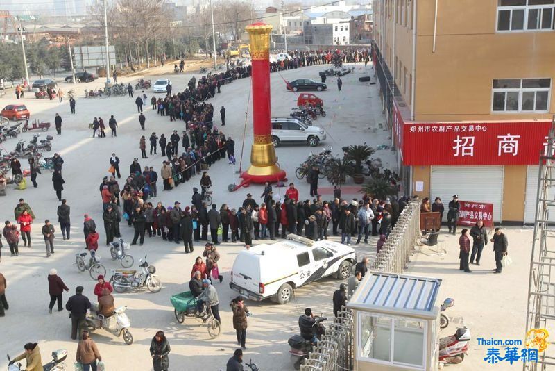 数万郑州市民冒严寒排1公里长队领免费萝卜白菜