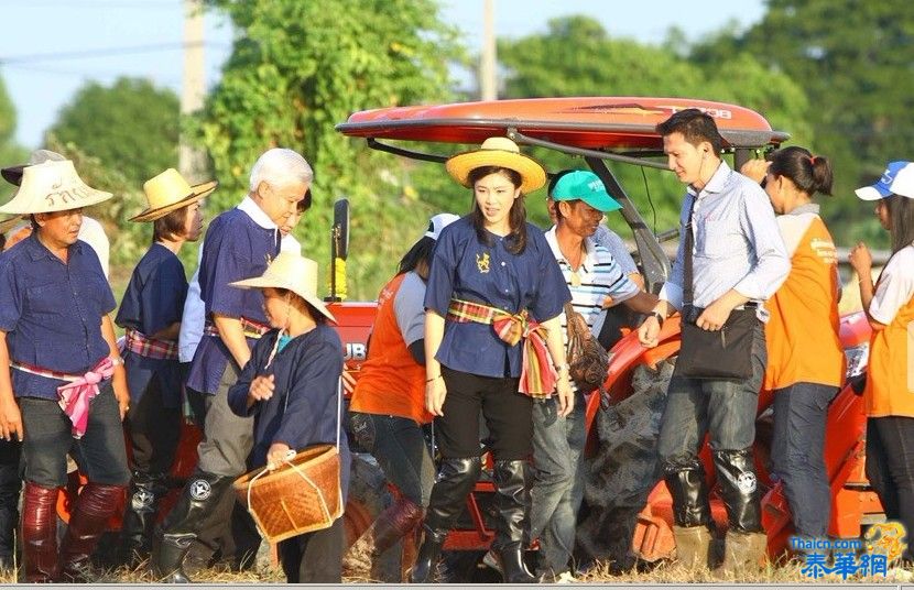 民调机构给总理英拉及其内阁打出高评分