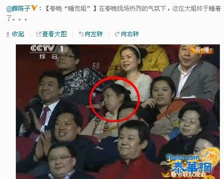 大陆春晚“睡觉姐”走红微博 现场酣然入睡