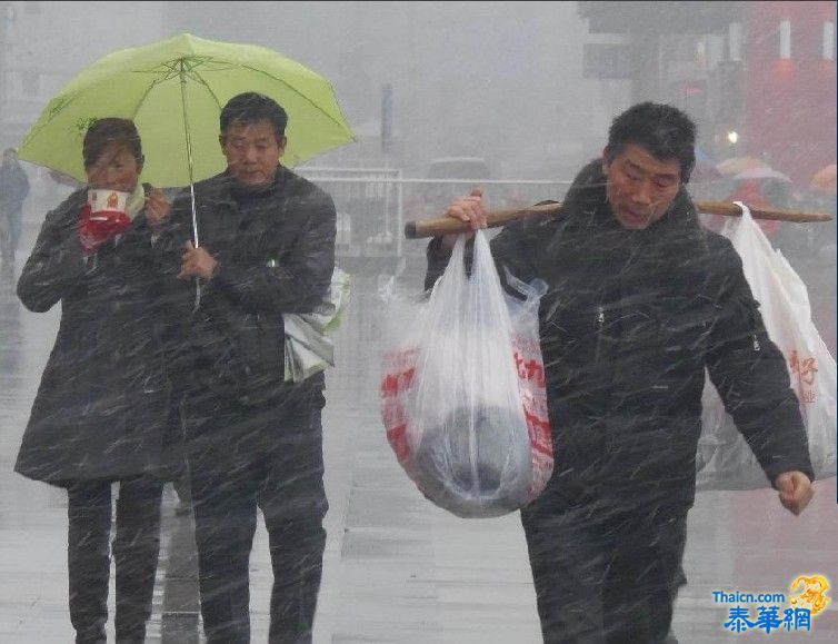 风雪难阻回家路