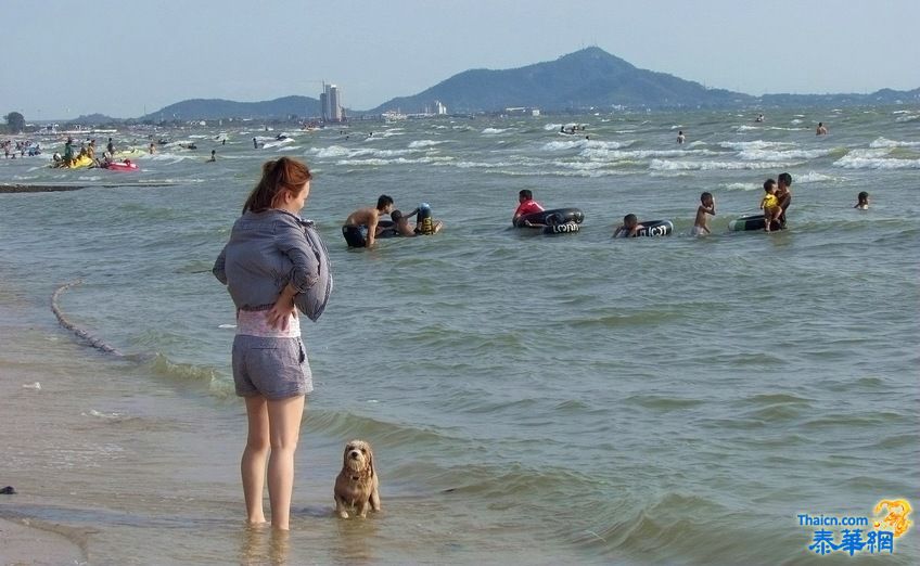 星期天到春吥里海岸所见