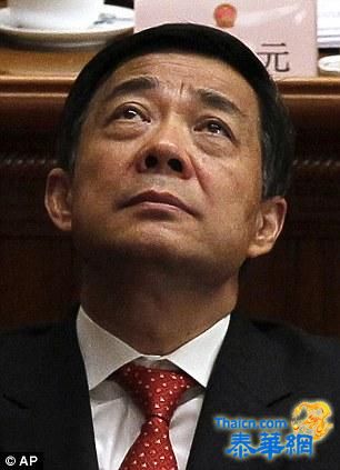 英媒曝:薄瓜瓜加速薄熙来的下台 曾被勒令退学