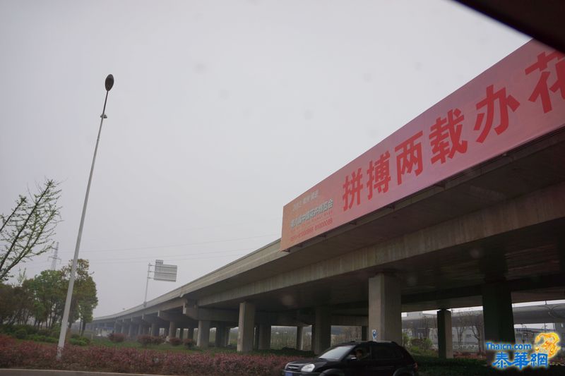泼水节江苏一行