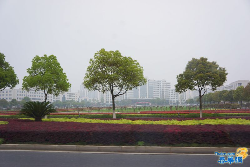 泼水节江苏一行