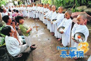 学习修身养性　更多泰国女孩短期出家