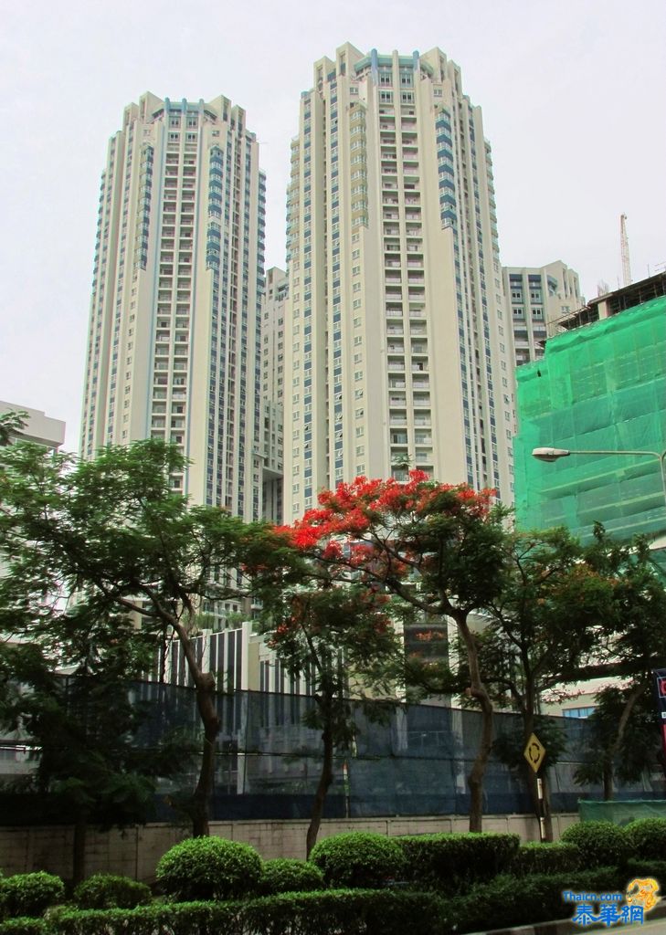 曼谷的雨天、新住宅建筑