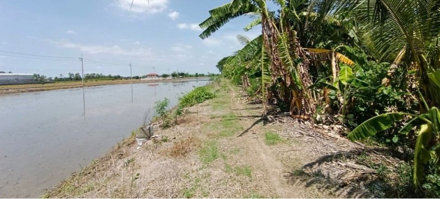 位于Lat Lum Kaeo, Pathum Thani的土地面积:4 rai共6400平方米-2
