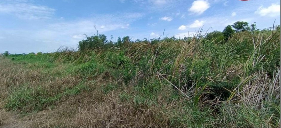 位于Lat Lum Kaeo, Pathum Thani的土地面积:4 rai共6400平方米-6