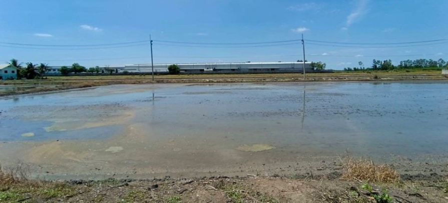 位于Lat Lum Kaeo, Pathum Thani的土地面积:4 rai共6400平方米-7