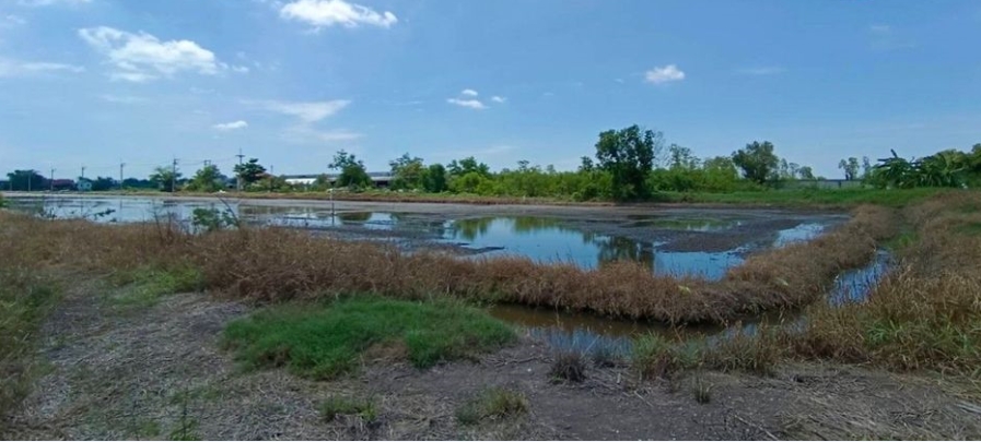 位于Lat Lum Kaeo, Pathum Thani的土地面积:4 rai共6400平方米-8