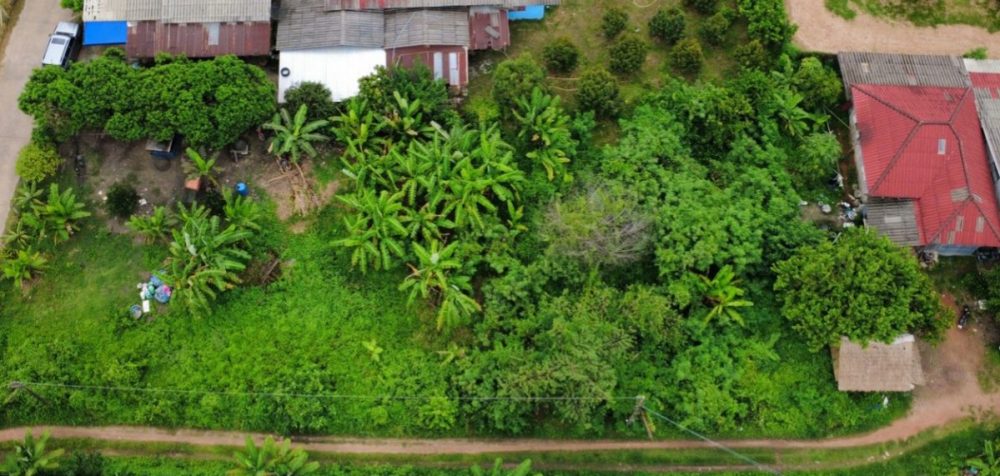 路边带花园的住宅用地，面积2亩68平方米，地理位置优越，靠近旅游景点和政府办公室!!-3