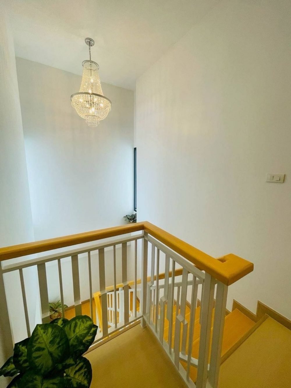 Ariya-Sriracha 项目，两层双拼别墅，极简风格-7