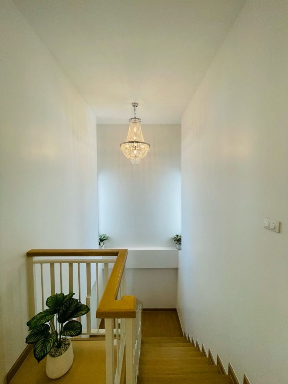 Ariya-Sriracha 项目，两层双拼别墅，极简风格-6