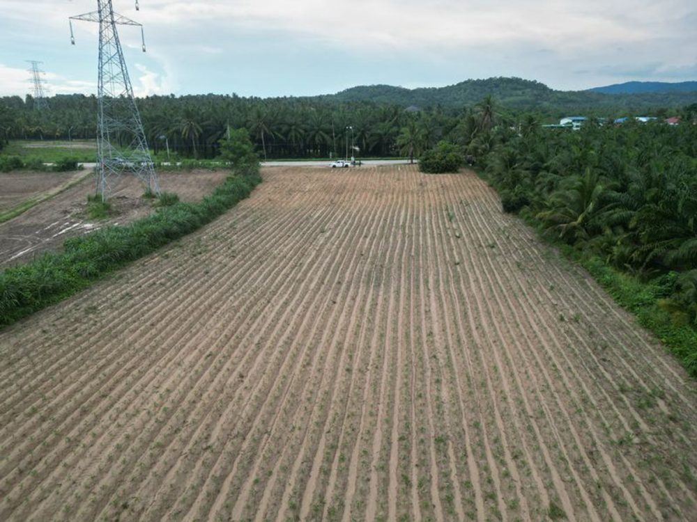 位于是拉差孔达拉路的一块非常漂亮、临街面宽阔的空地 !-5