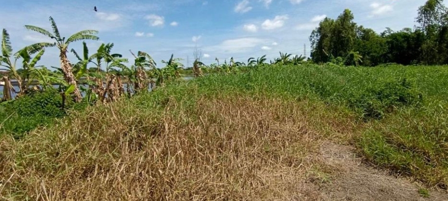 一手土地资源黄金吉地出售，位于Lat Lum Kaeo, Pathum Thani的土地，面积：4 rai共6400平方米-6